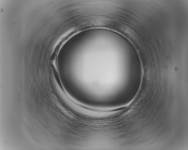 X0000052981026200507221322