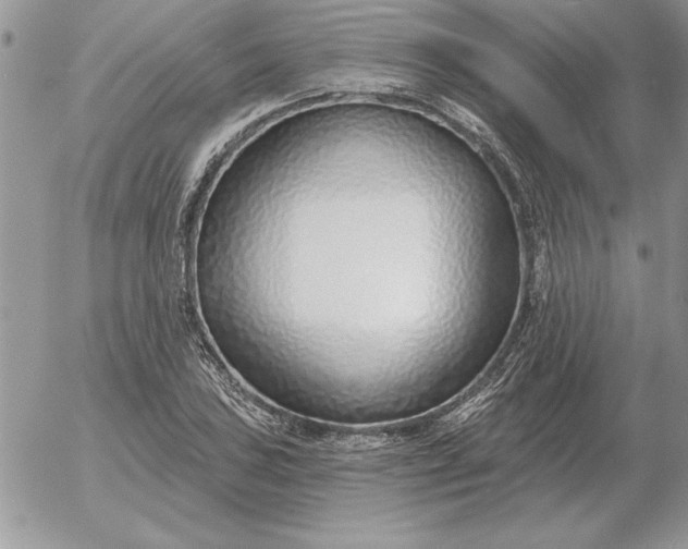 X0000052981027200507221322