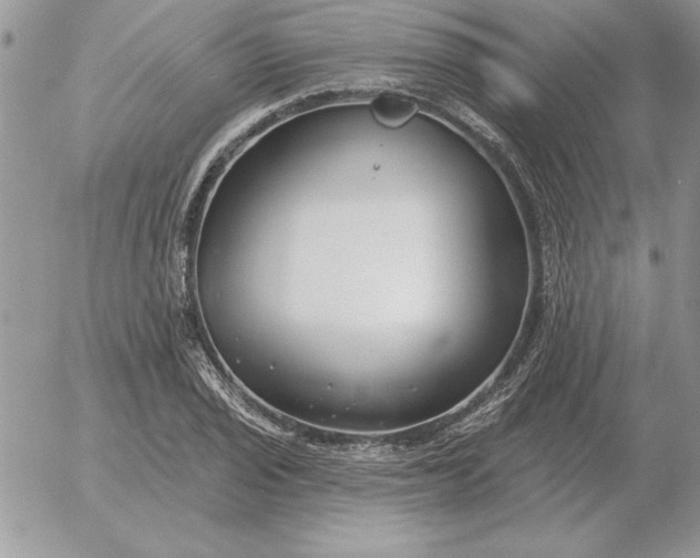 X0000052981029200507221322