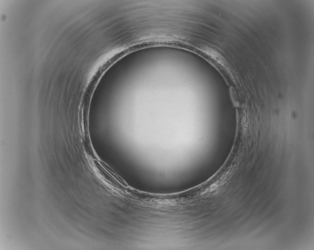 X0000052981030200507221322