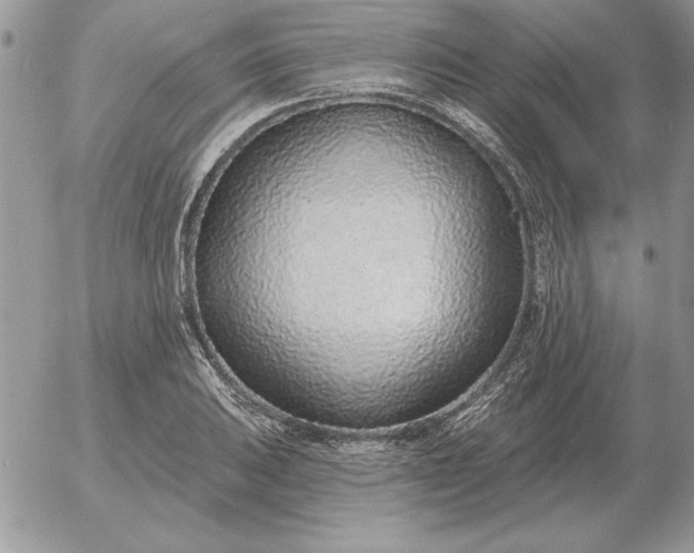 X0000052981031200507221322