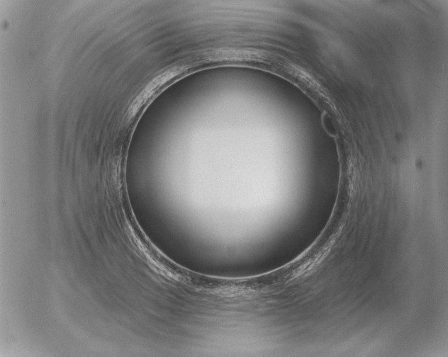 X0000052981033200507221322