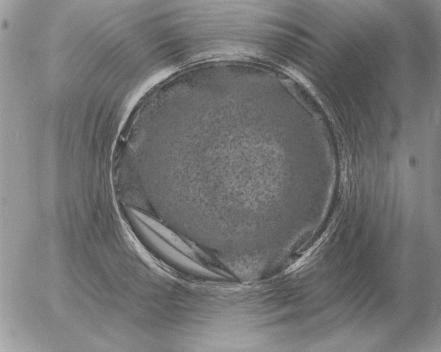 X0000052981034200507221322