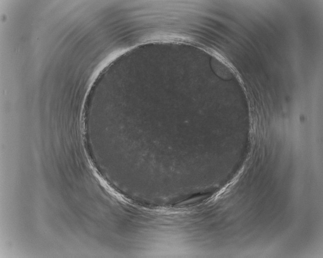 X0000052981037200507221322