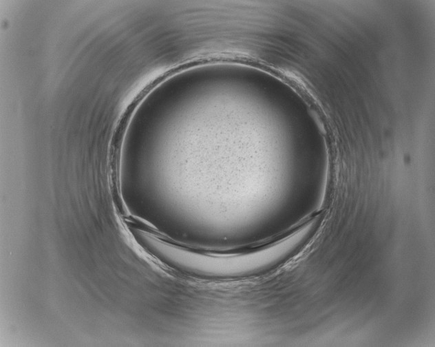 X0000052981038200507221322