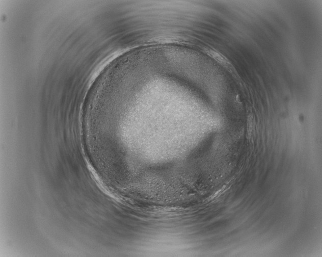 X0000052981039200507221322