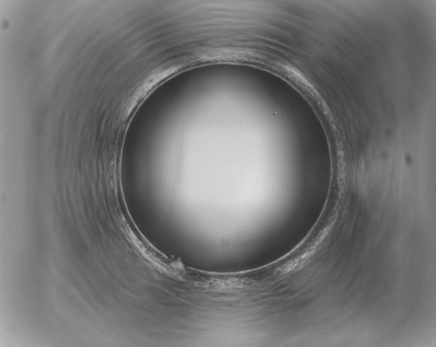 X0000052981041200507221322