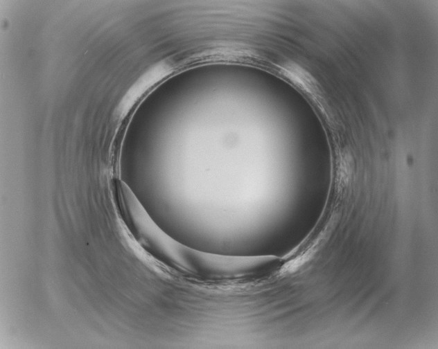 X0000052981042200507221322