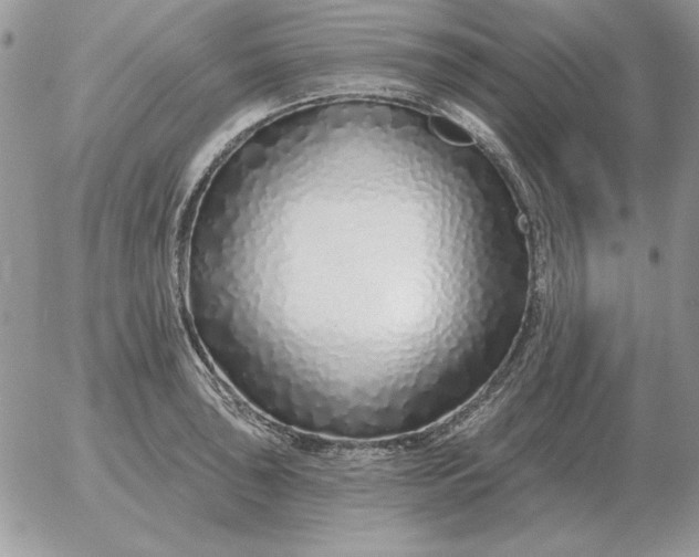 X0000052981043200507221322