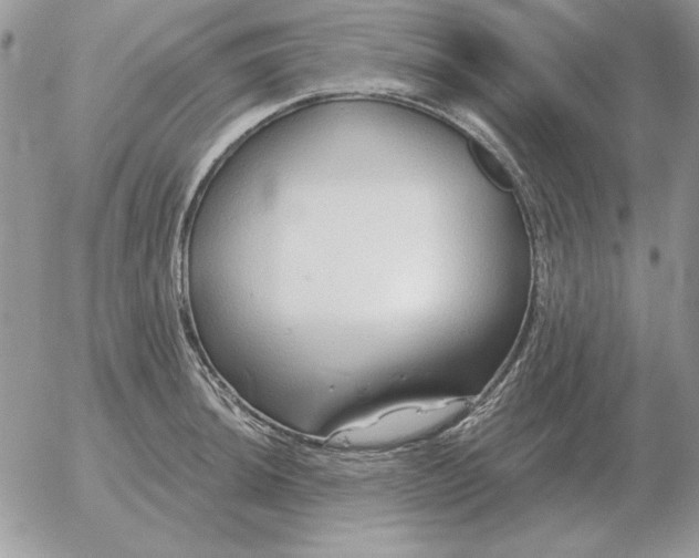 X0000052981044200507221322