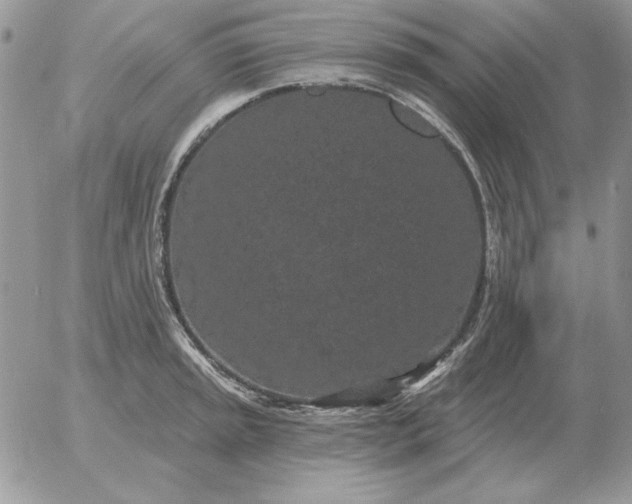 X0000052981045200507221322