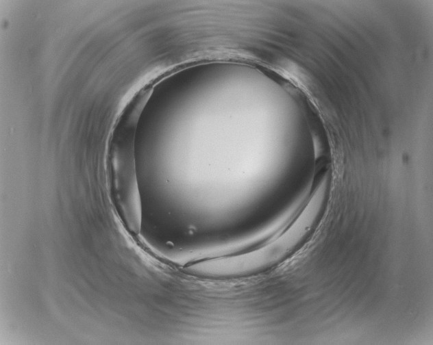 X0000052981046200507221322