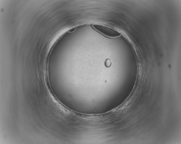 X0000052981048200507221322