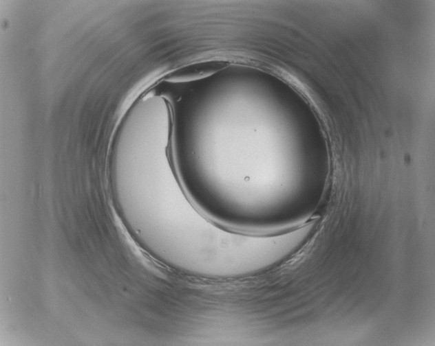 X0000052981050200507221323