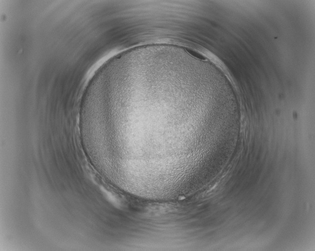 X0000052981051200507221323