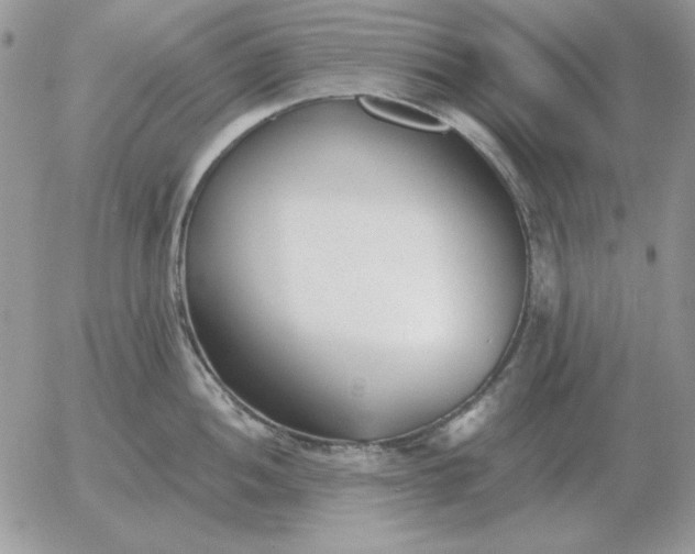 X0000052981052200507221323