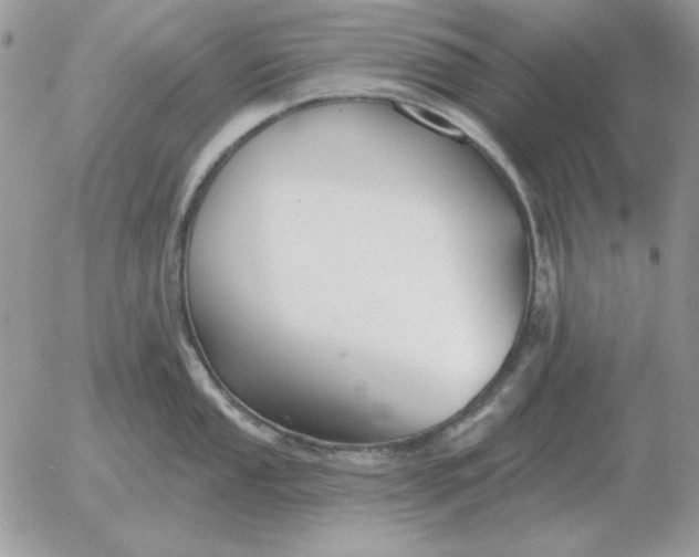 X0000052981053200507221323