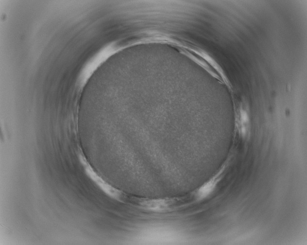 X0000052981054200507221323