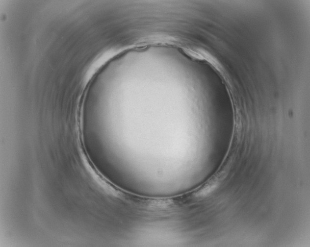 X0000052981055200507221323