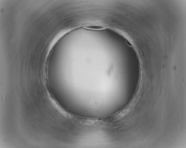 X0000052981056200507221323