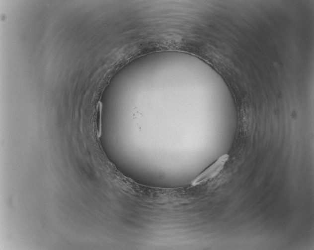 X0000052981057200507221322