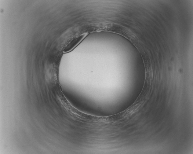 X0000052981058200507221322