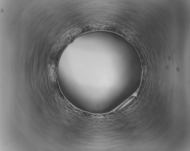 X0000052981059200507221322