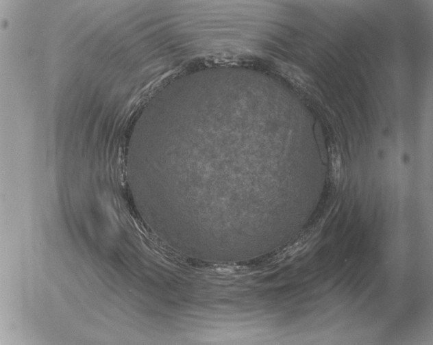 X0000052981060200507221322