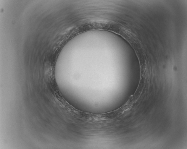 X0000052981061200507221322