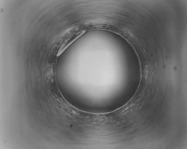 X0000052981062200507221322