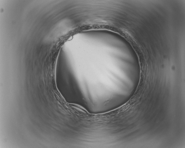 X0000052981063200507221322