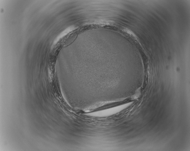 X0000052981064200507221322