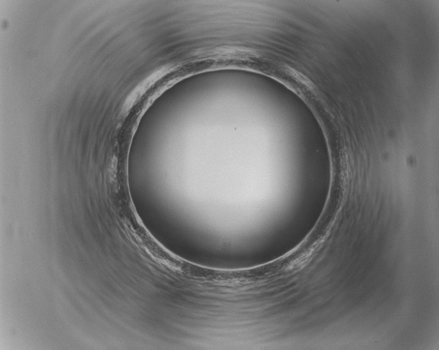 X0000052981066200507221322