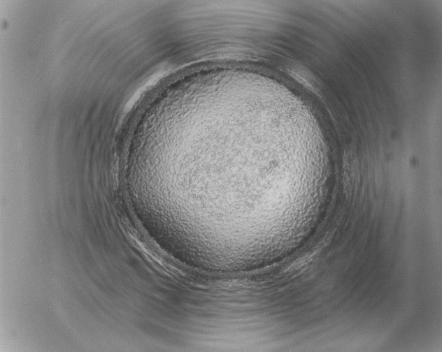 X0000052981067200507221322