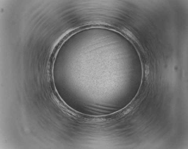 X0000052981068200507221322