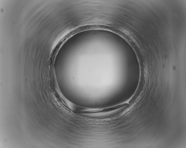 X0000052981069200507221322