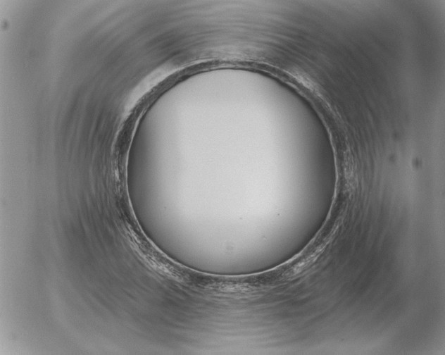 X0000052981070200507221322