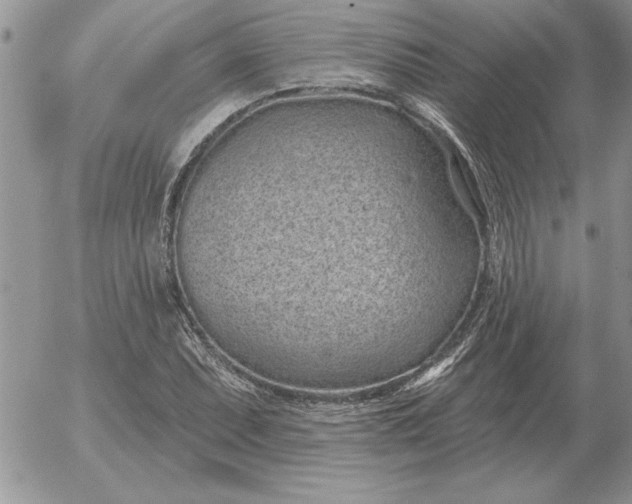 X0000052981071200507221322