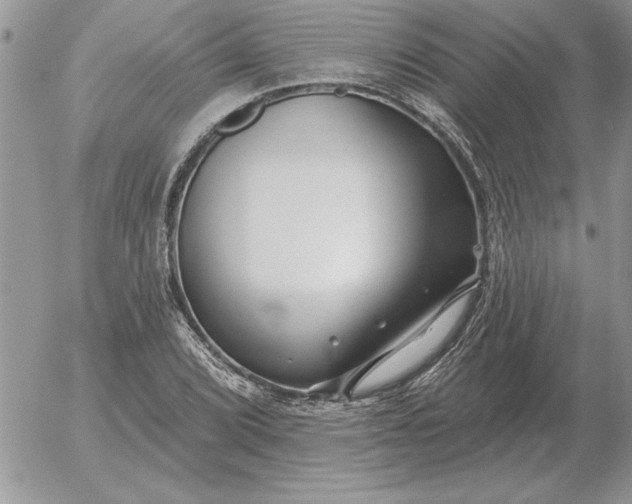 X0000052981072200507221322