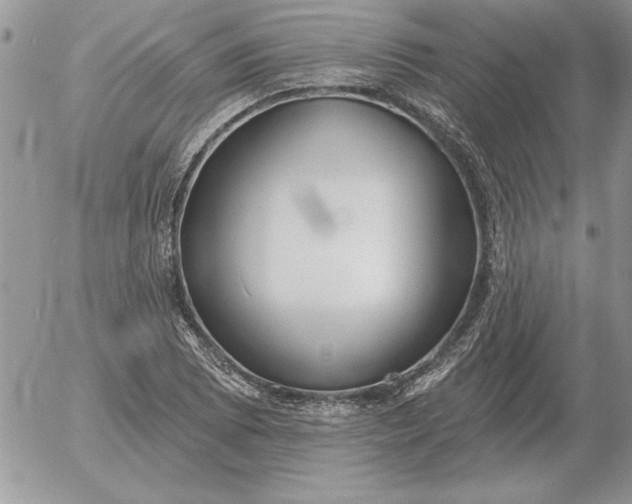 X0000052981073200507221322