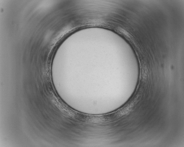 X0000052981074200507221322