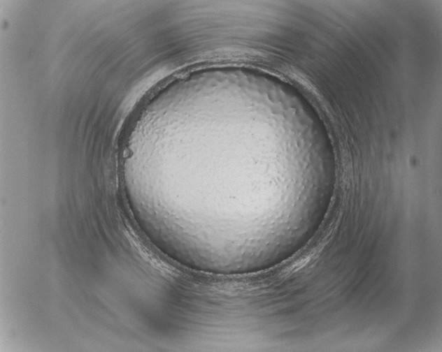 X0000052981075200507221322