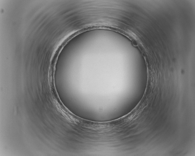 X0000052981076200507221322