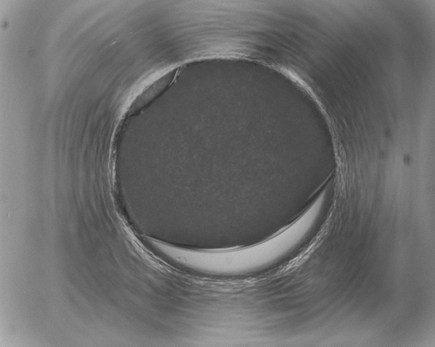 X0000052981077200507221322