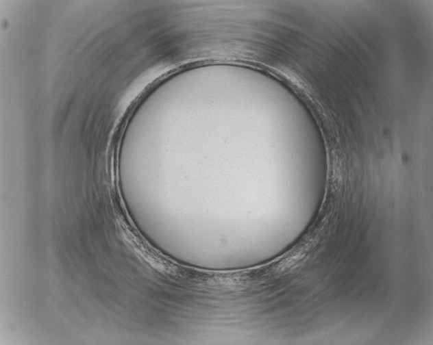 X0000052981078200507221321