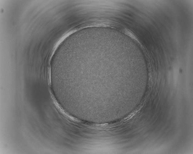 X0000052981079200507221321