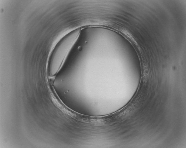 X0000052981080200507221321