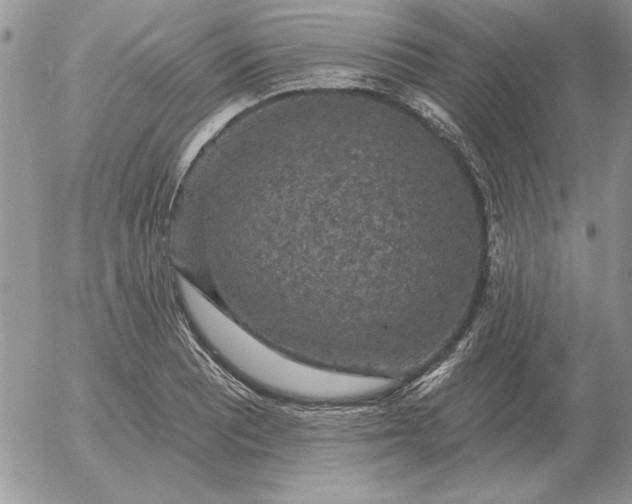 X0000052981081200507221321