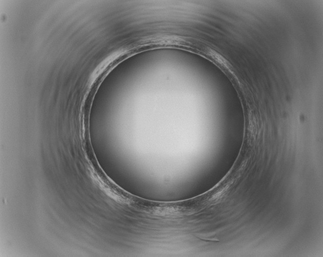 X0000052981082200507221321