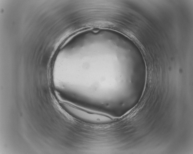 X0000052981083200507221321